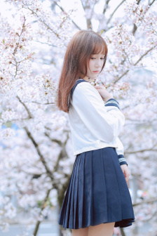风雨送春归